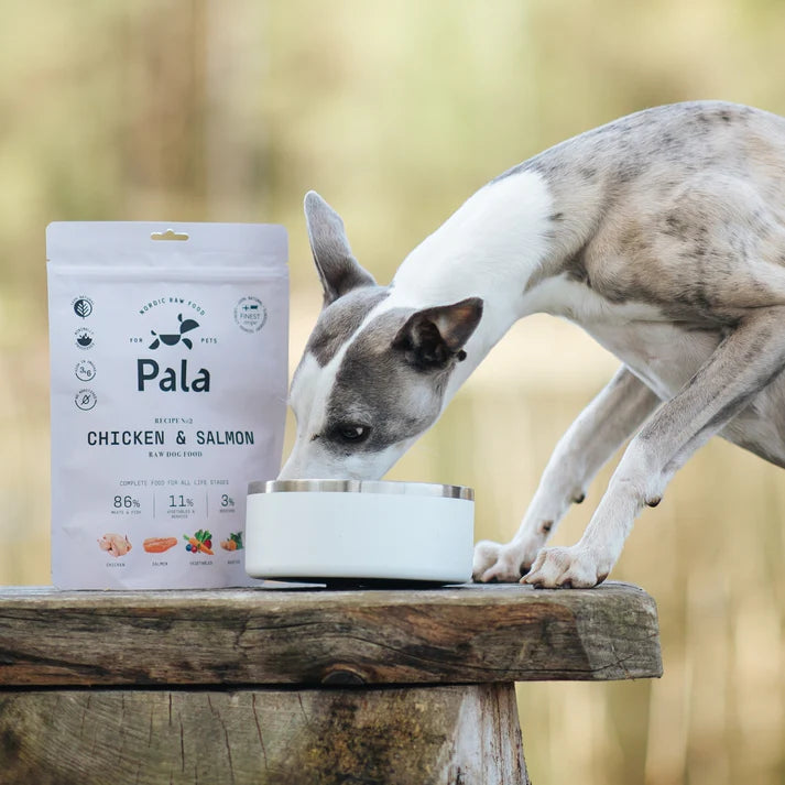 Pala - Air Dried Chicken & Salmon Recipe #2