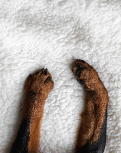 <strong>Personlig service</strong>