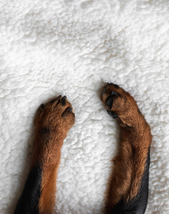 <strong>Personlig service</strong>