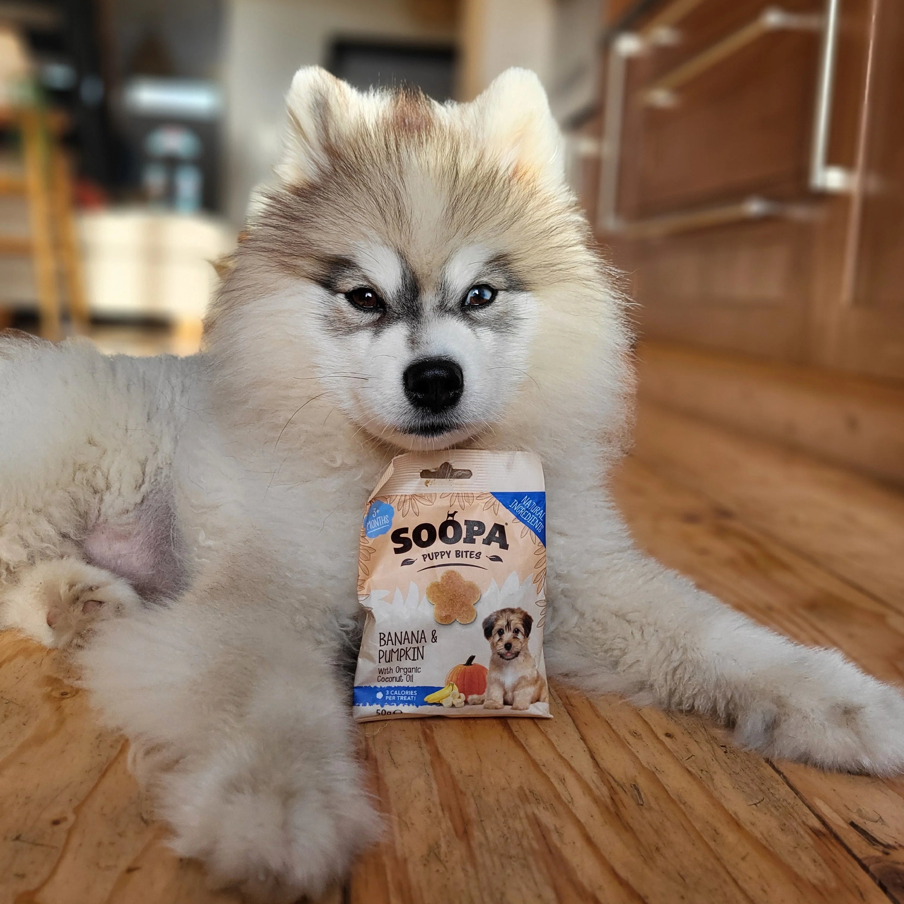 Soopa - Hundgodis PUPPY | Banan och pumpa (50g, 50 bitar)