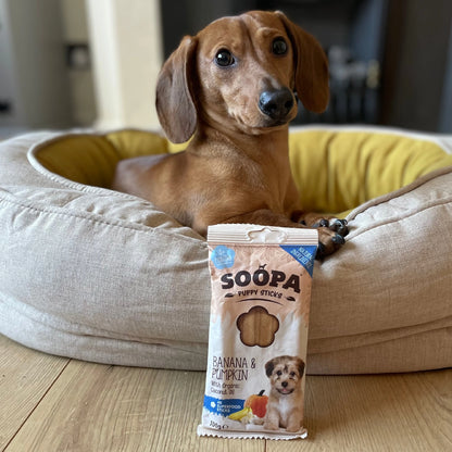 Soopa - Tuggpinnar PUPPY | Banan och Pumpa (4-pack)