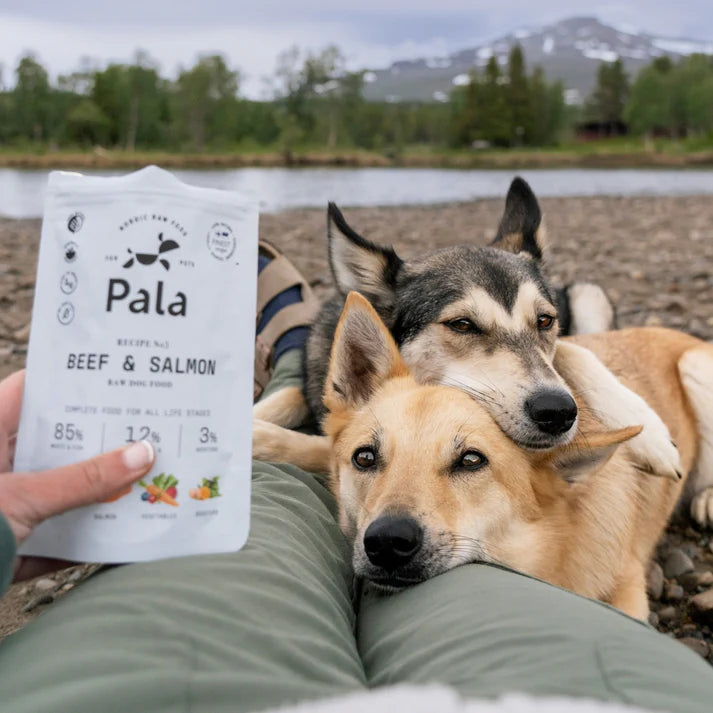 Pala - Air Dried Beef & Salmon Recipe #3