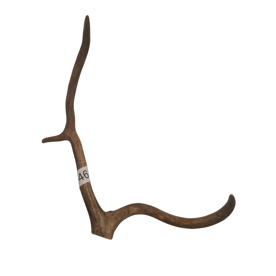 Renhorn nr 46 – naturligt tuggben från svensk ren
